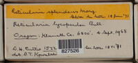 Image Associated With the Occurence